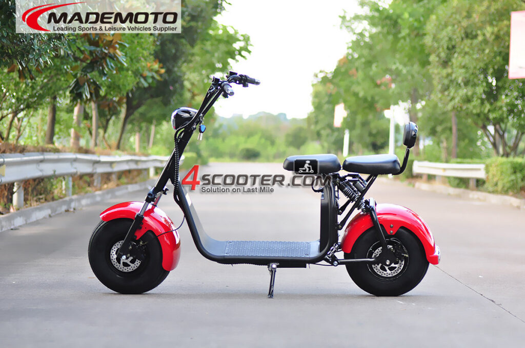 Big Wheel W City Coco Electric Scooter With Eec Wiztem Industry