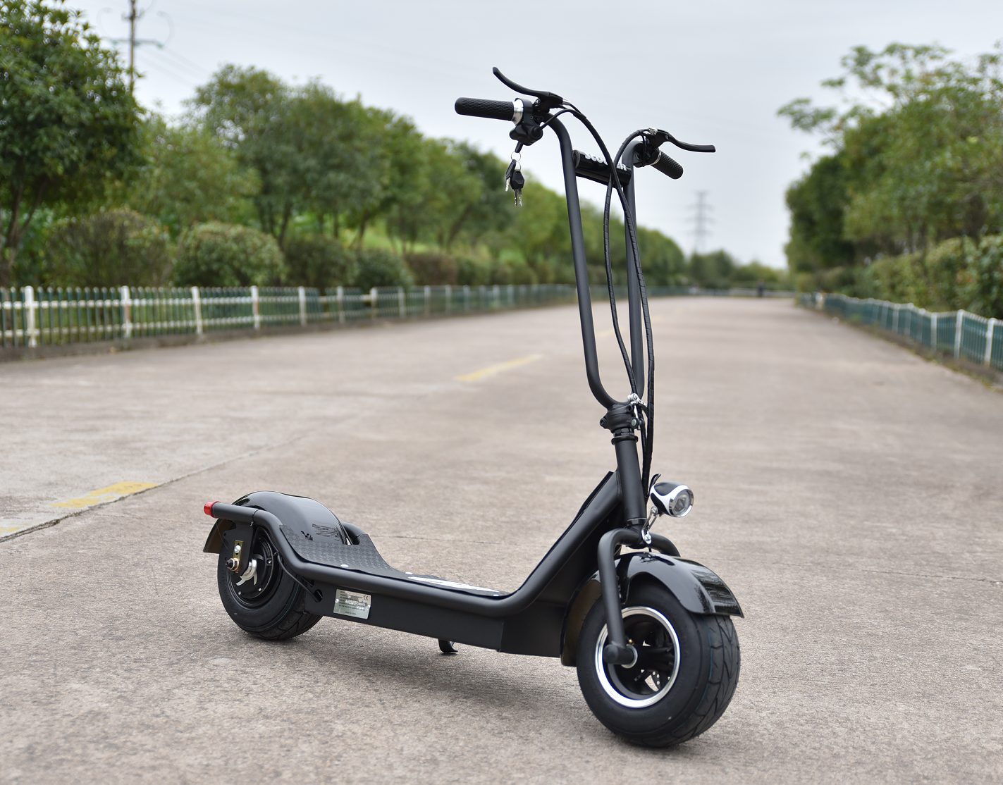 buy electric scooter