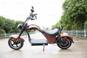 Patent Protected Factory New Fashion Electric Chopper Scooter (1)