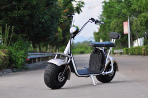 Big Wheel 1500W City CoCo Electric Scooter With EEC (1)