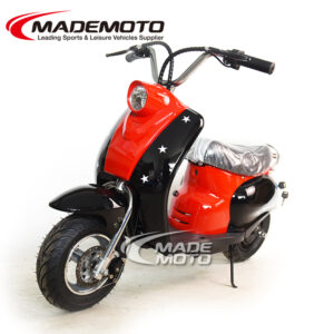 Vespa Electric Scooter