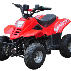 Fast Electric ATV