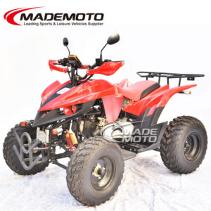 Adult ATV