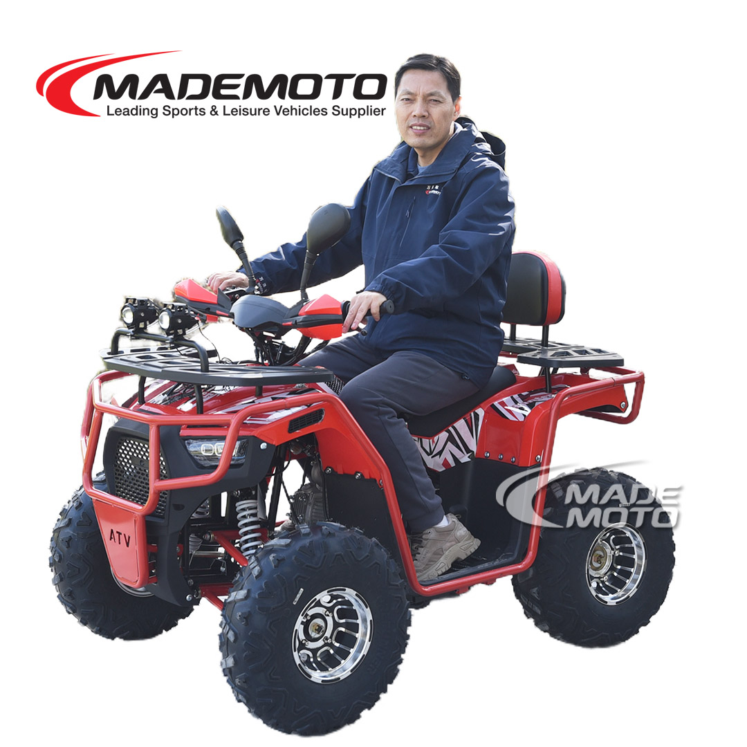 110cc ATV-Quad - Image 2