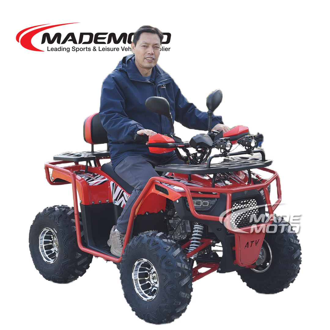 110cc ATV-Quad - Image 3