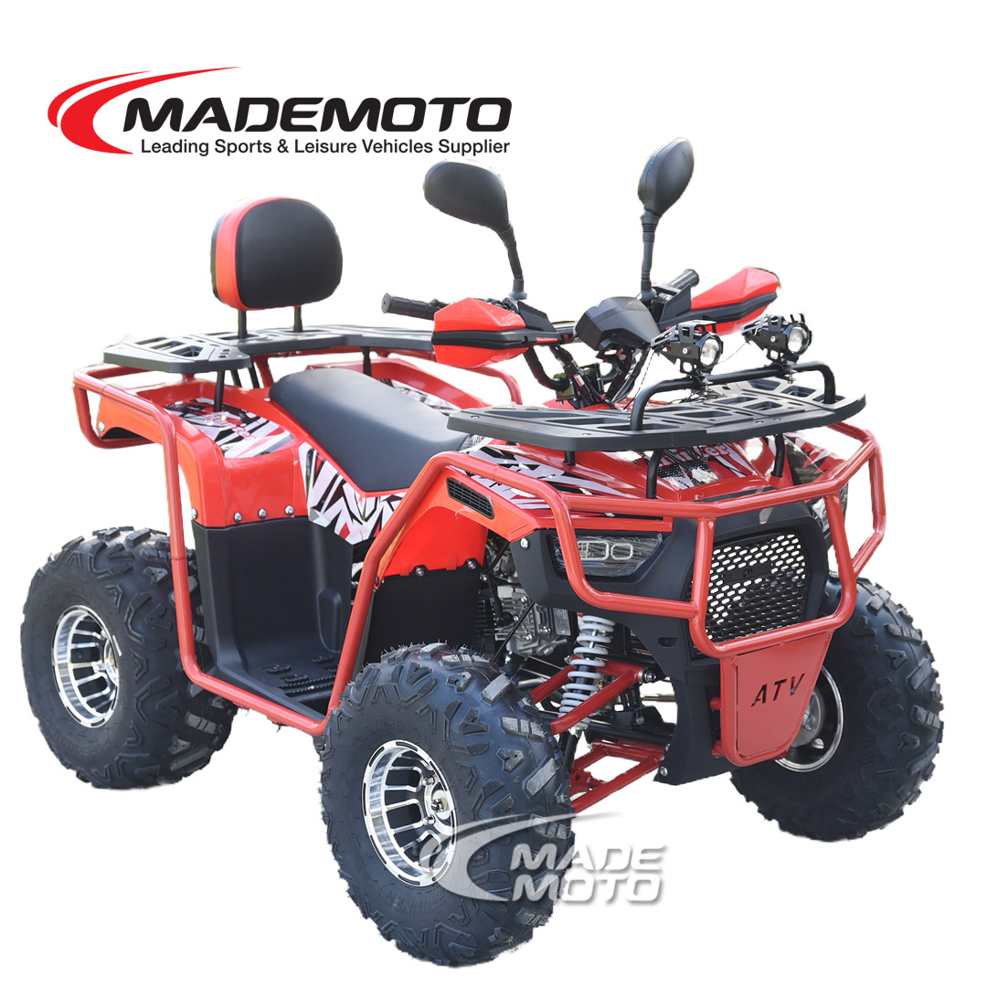 110cc ATV-Quad - Image 4