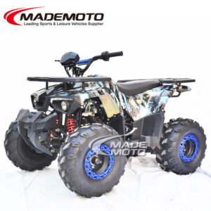 110cc ATV Quad