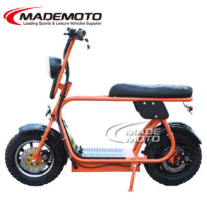 Scooter Electric