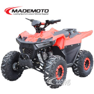 Petrol ATV