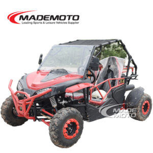 Petrol UTV