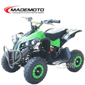 Electric Quad Bike