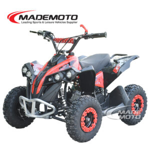 Quad Bike ATV