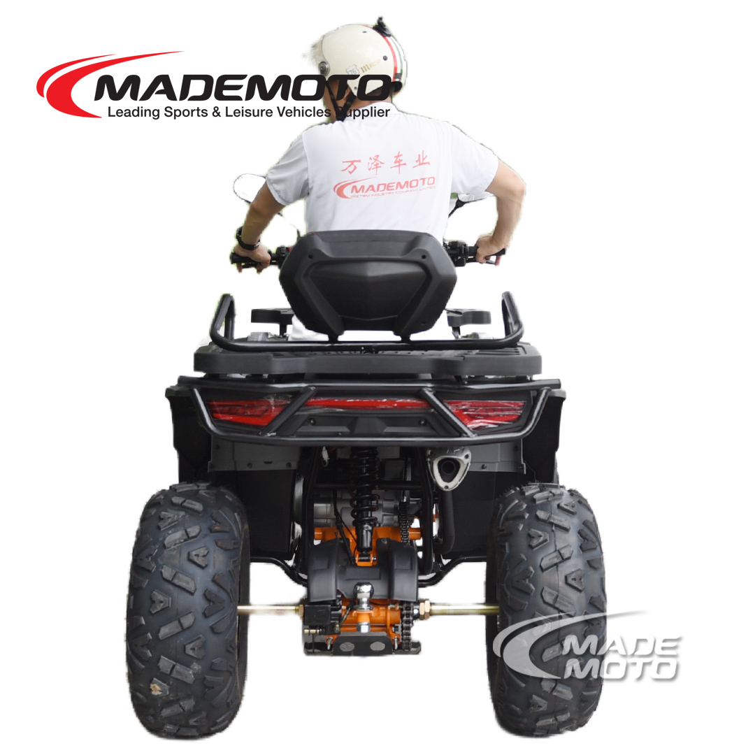 200cc Quad Bike - Image 10