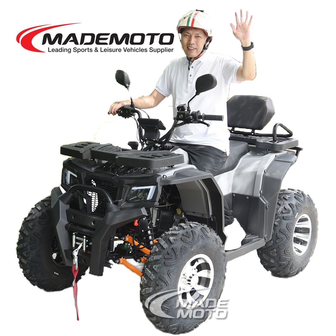 200cc Quad Bike - Image 9