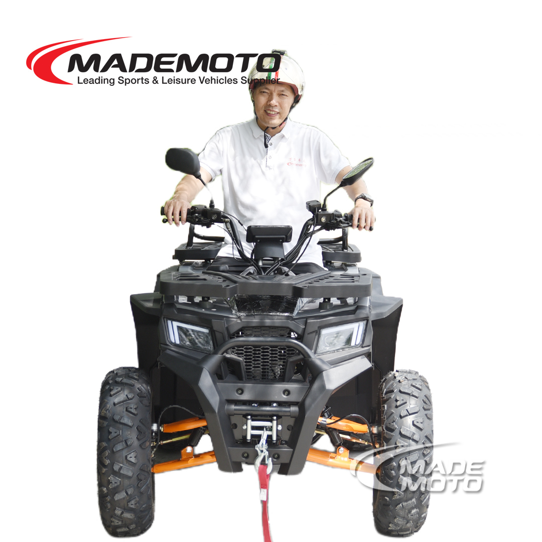 200cc Quad Bike - Image 6