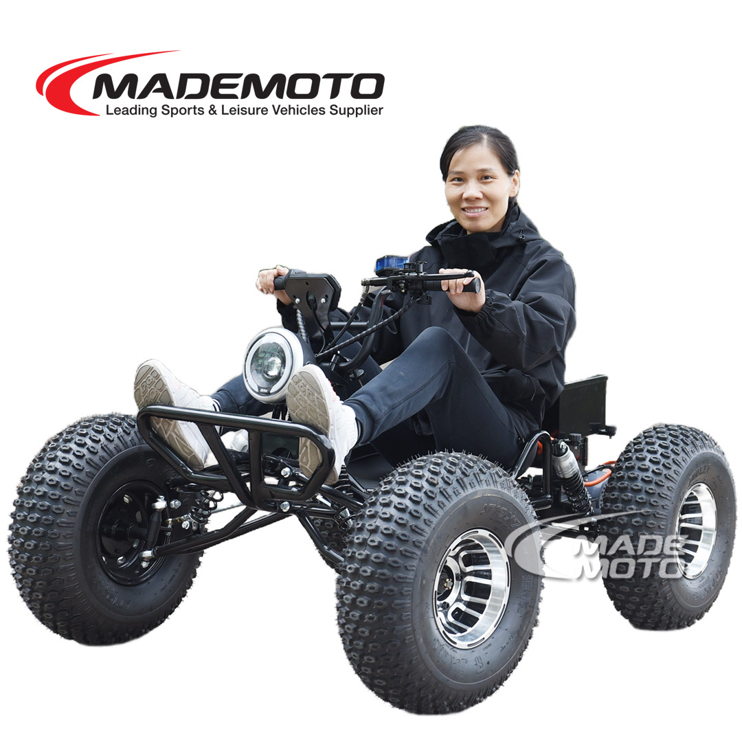 Electric Kart