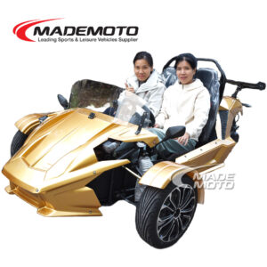 ZTR Trike