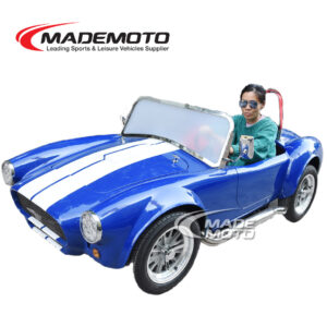 Fancy Car