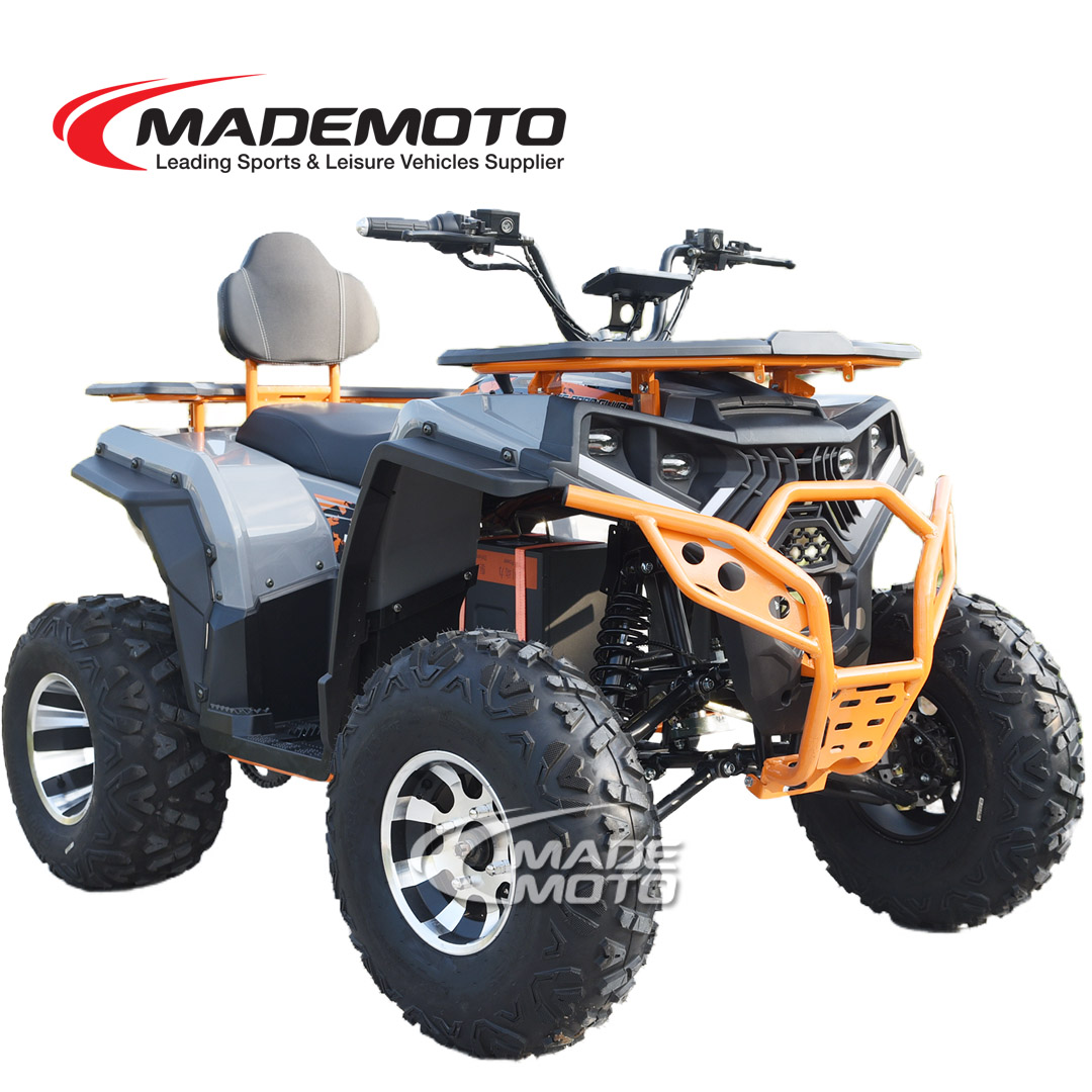Electric ATV - Image 5