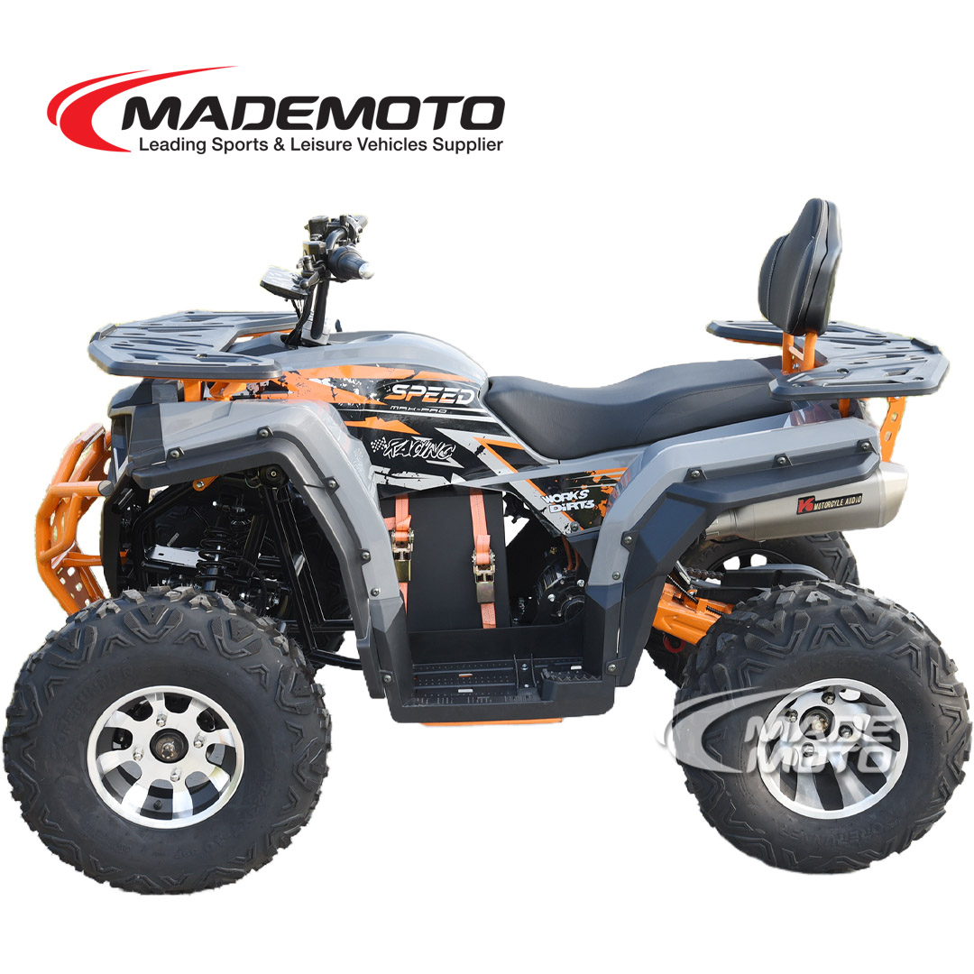 Electric ATV - Image 3
