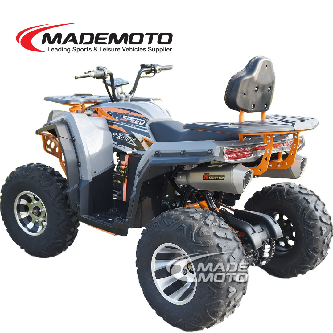 Electric ATV - Image 8