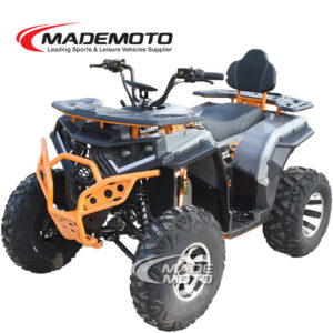 Electric ATV