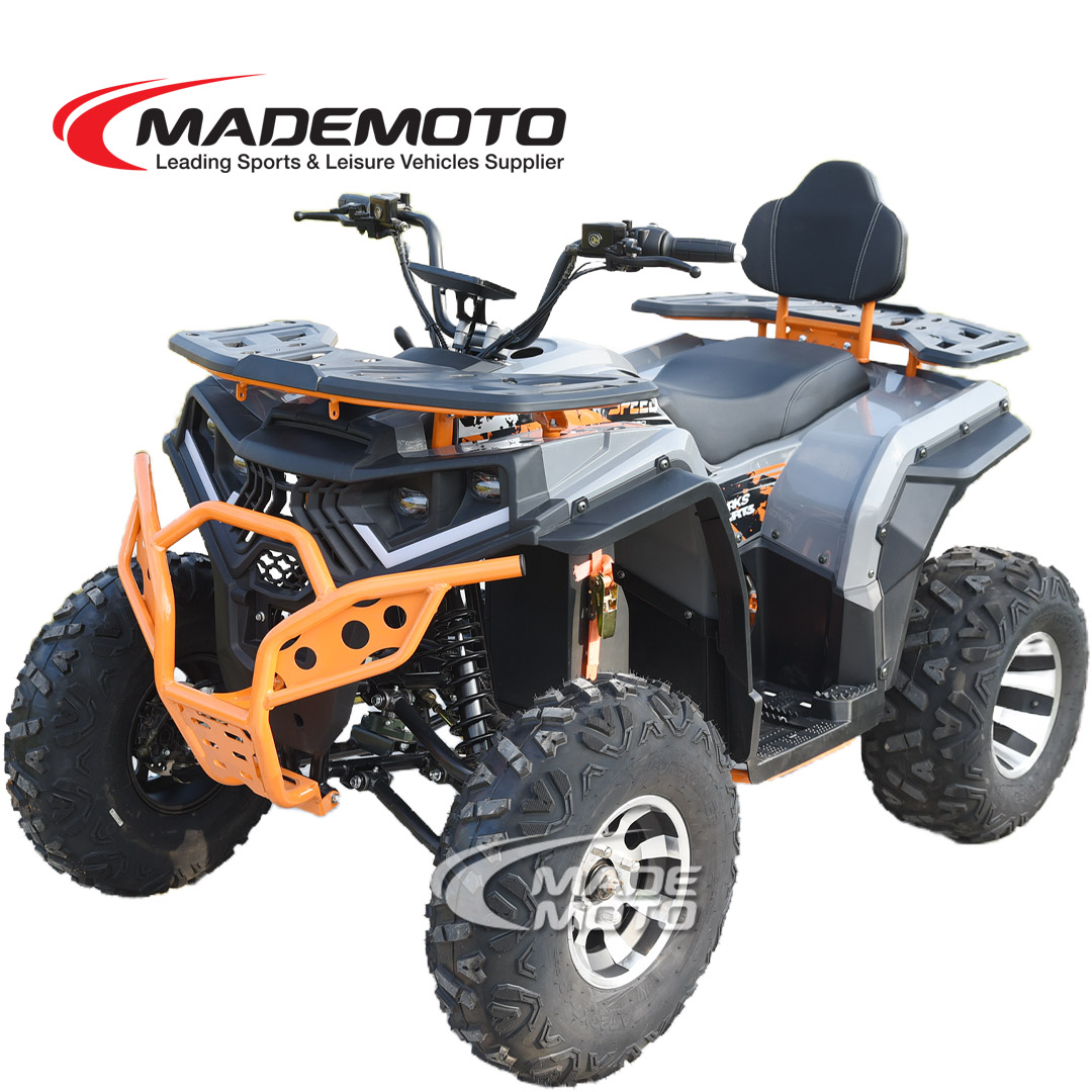 Electric ATV